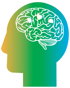 Cortechs.ai | Using LesionQuant? Follow these quick and easy processing tips for best results