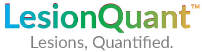 lesionquant_web.jpg