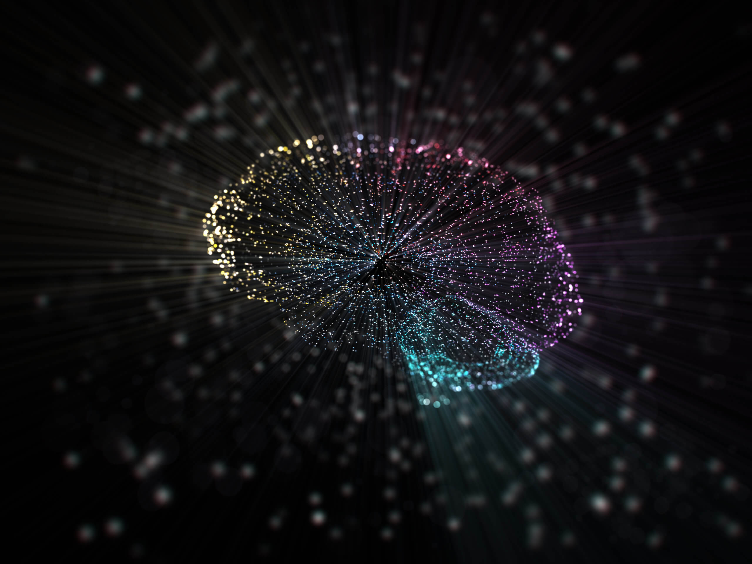 NeuroQuant’s Dynamic Atlas: The Key to Optimal Brain Quantification
