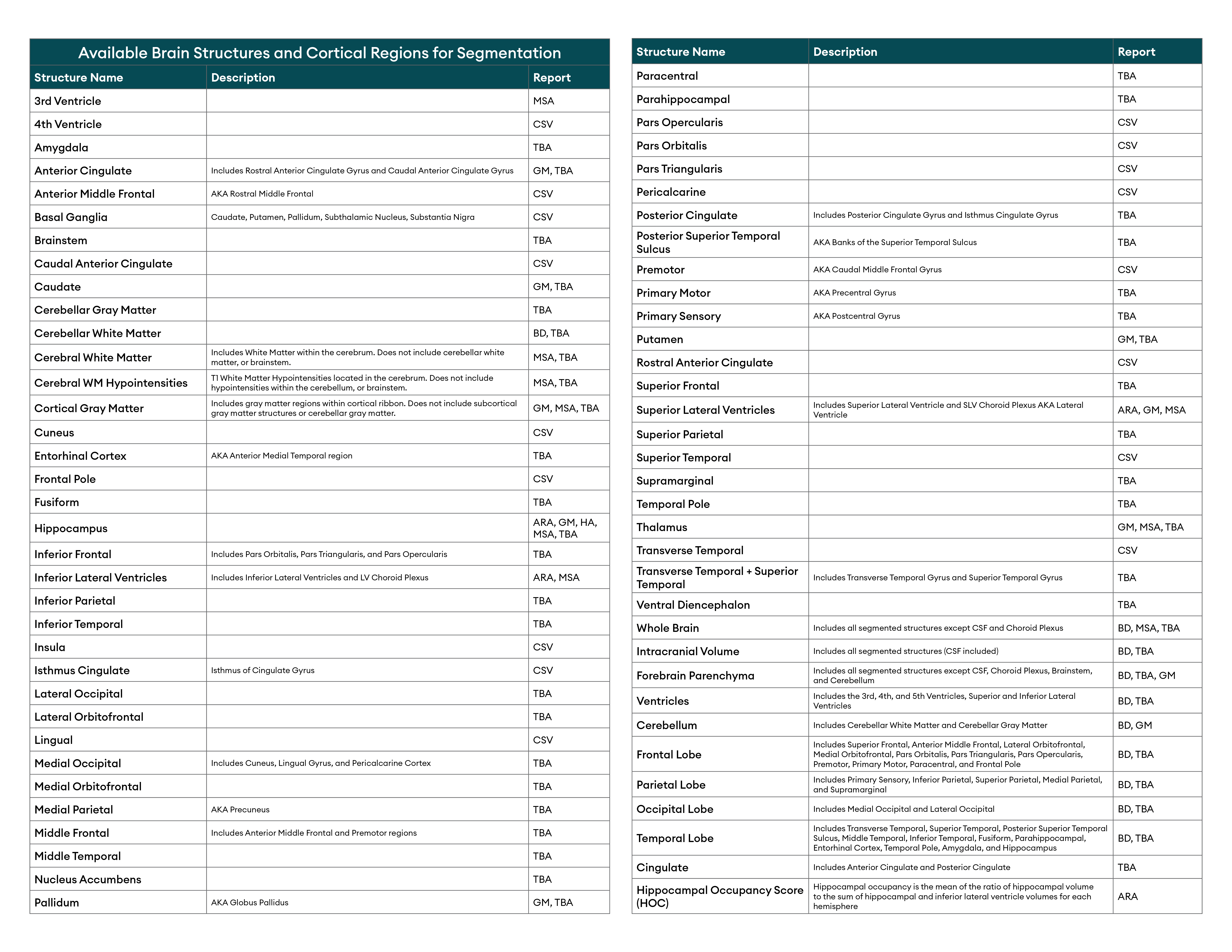 Cortechs.ai | All the Ways to Use the NeuroQuant Custom Report