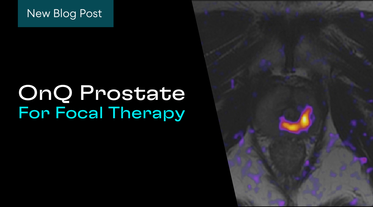 Cortechs.ai | LesionQuant Module’s Enriched Features: 3D T1 and FLAIR Reconstructed Images