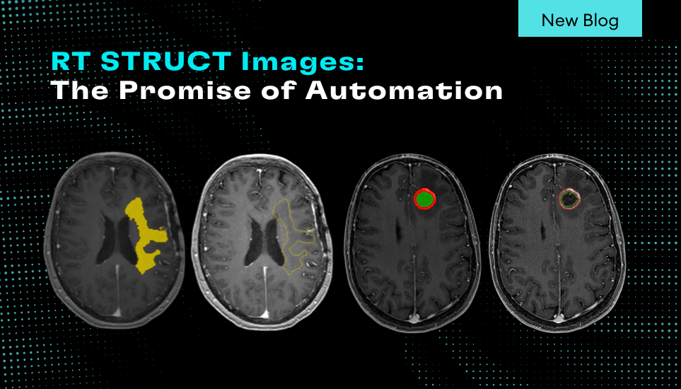 Cortechs.ai | January is National Winter Sports TBI Awareness Month